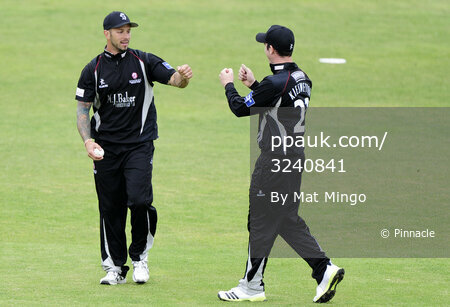 Somerset v Leicestershire 160613