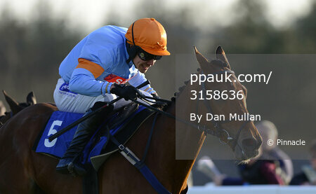Exeter Races 300413