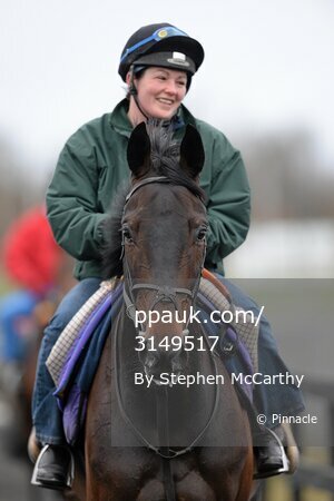 Punchestown Preview 220413