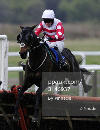 Exeter Races 070513