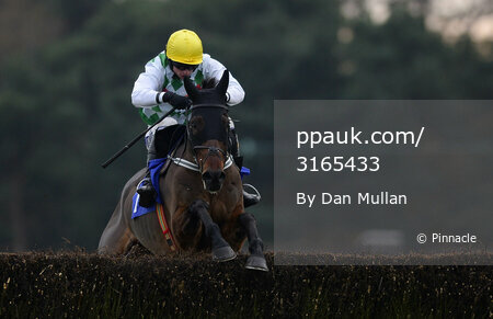 Exeter Races 241113
