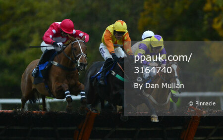 Taunton Races 281113