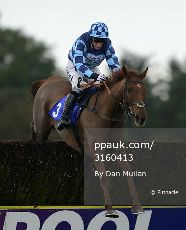 Exeter Races 221013