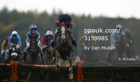 Exeter Races 221013