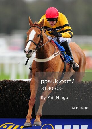 EXETER RACES 140409