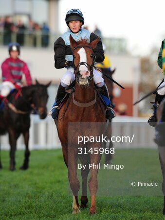 Exeter Races 201109