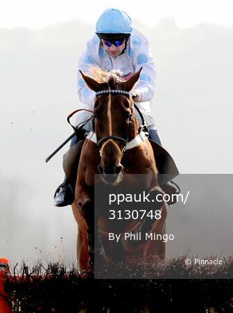 Taunton Races 160309