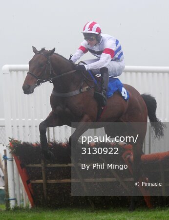 Exeter Races 130509