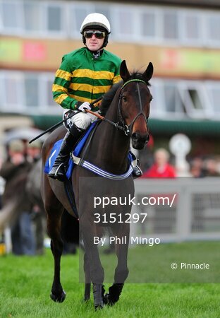 Exeter Races 201009