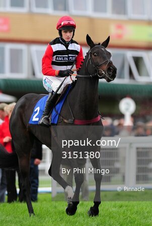 Exeter Races 201009
