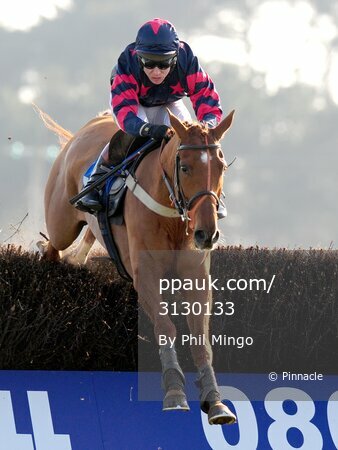 EXETER RACES 170309