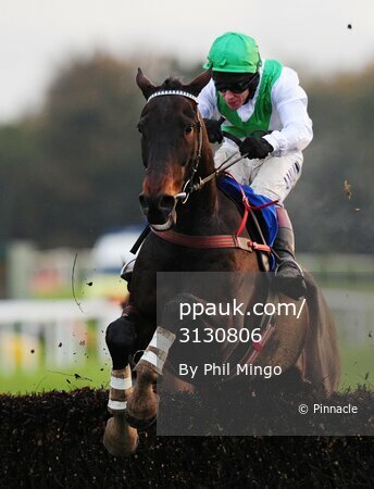 Exeter Races 101109