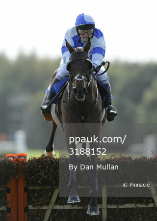 Exeter Races 181011