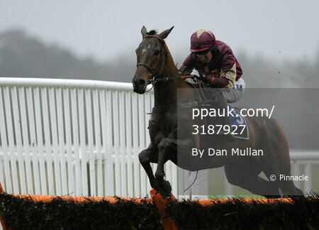 Exeter Races 130211