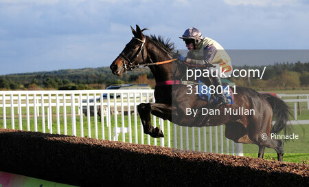 Exeter Races 181011