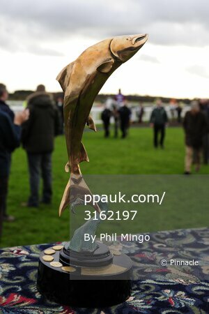 Exeter Races 021211
