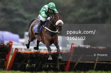 Exeter Races 010110