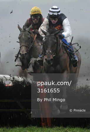 Taunton Races 301211
