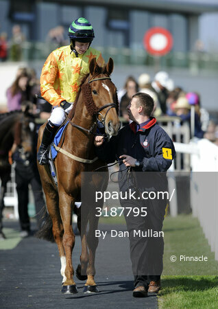 Exeter Races 180411