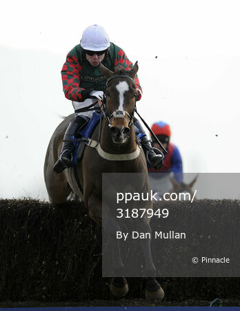 Taunton Races 030311