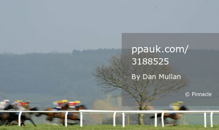 Taunton Races 030311
