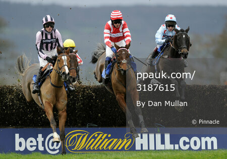 Taunton Races 081211