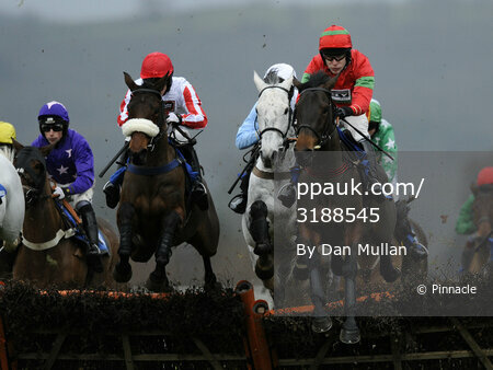 Taunton Races 081211
