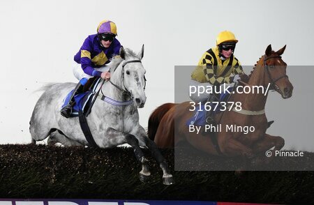 Exeter Races 170412
