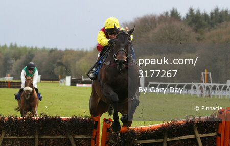 Exeter Races 170412