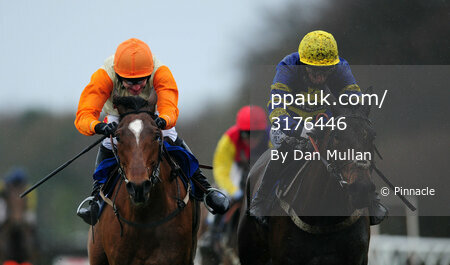 Exeter Races 010112