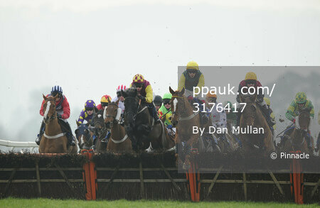 Taunton Races 310112