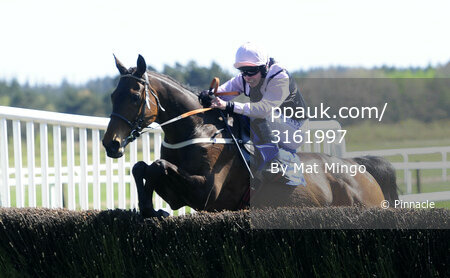 Exeter Races 150414