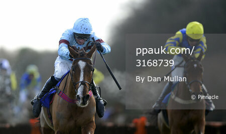 Exeter Races 210214