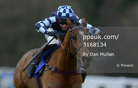 Exeter Races 140114