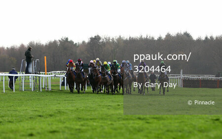 Exeter Races 041215