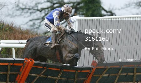 Taunton Races 301215