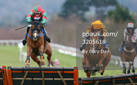 Taunton Races 230315