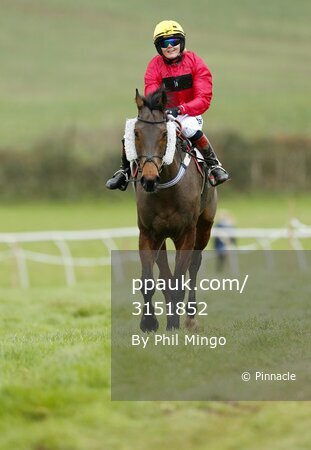 Black Forest Point-to-Point 291115