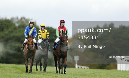 Exeter Races 111115