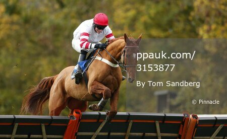Taunton Races 261115
