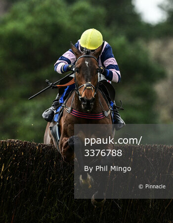 Exeter Races, Exeter, UK - 24 Feb 2023