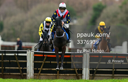 Exeter Races, Exeter, UK - 24 Feb 2023
