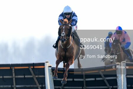 Taunton Races, Taunton, UK - 7 Feb 2023
