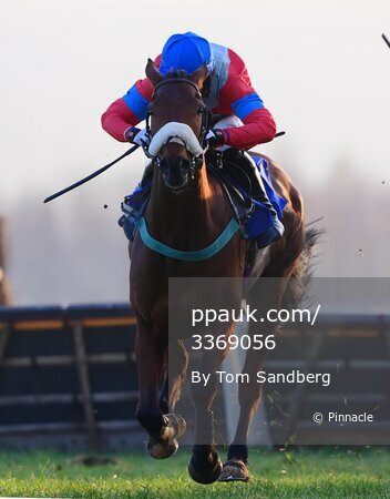 Taunton Races, Taunton, UK - 7 Feb 2023