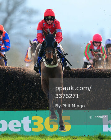 Taunton Races, Taunton, UK - 21 Feb 2023