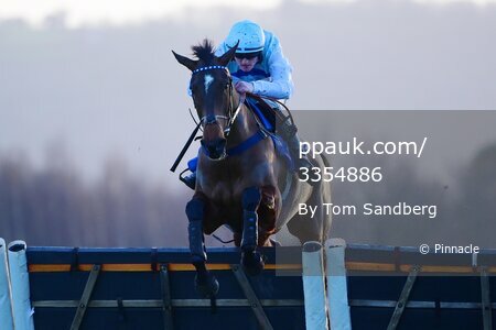 Taunton Races, Taunton, UK - 9 Jan 2023