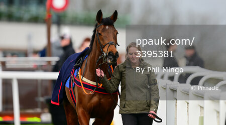 Exeter Races, Exeter, UK - 26 Mar 2023