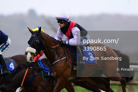 Taunton Races, Taunton, UK - 20 Mar 2023