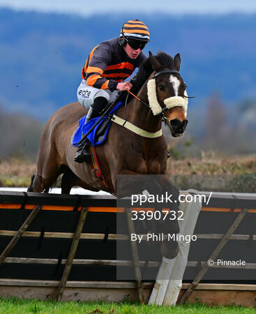 Taunton Races, Taunton, UK - 20 Mar 2023