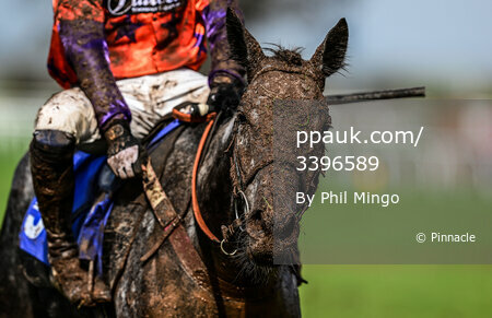 Taunton Races, Taunton, UK - 30 Mar 2023